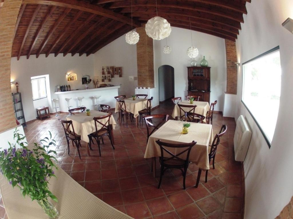 Outeiro Da Vila - Casas De Campo Vila Verde de Ficalho Kültér fotó